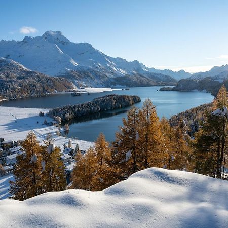 Hotel Cristallina Sils Maria Eksteriør billede